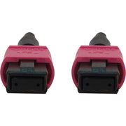 Tripp Lite by Eaton N845B-15M-12-MG Fibre Optic Network Cable - N845B-15M-12-MG