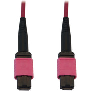 Tripp Lite by Eaton N845B-25M-12-MG Fibre Optic Network Cable