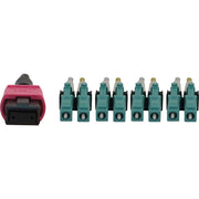 Tripp Lite by Eaton N845X-02M-8L-MG Fiber Optic Duplex Trunk Network Cable - N845X-02M-8L-MG