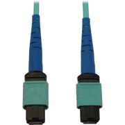 Tripp Lite by Eaton N846B-01M-24-P Fiber Optic Network Cable