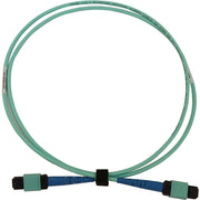 Tripp Lite by Eaton N846B-01M-24-P Fiber Optic Network Cable - N846B-01M-24-P
