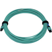 Tripp Lite by Eaton N846B-10M-24-P Fiber Optic Network Cable - N846B-10M-24-P