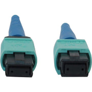Tripp Lite by Eaton N846B-10M-24-P Fiber Optic Network Cable - N846B-10M-24-P