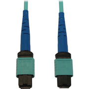 Tripp Lite by Eaton N846B-10M-24-P Fiber Optic Network Cable