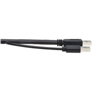 Tripp Lite by Eaton USB Active Repeater Cable - USB-A to USB-B (M/M), USB 3.2 Gen 1, 25 ft. (7.6 m) - U328-025-1