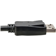 Tripp Lite by Eaton P582-020-HD-V4A DisplayPort/HDMI Audio/Video Cable - P582-020-HD-V4A