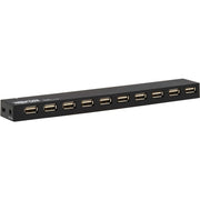 Tripp Lite by Eaton 10-Port USB Hub with Power Supply and International Plug Adapters - U223-010-INT