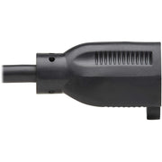 Tripp Lite by Eaton Power Extension Cord - P022-015-13A15D