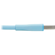 Tripp Lite by Eaton Safe-IT M100AB-006-S-LB Lightning/USB Data Transfer Cable - M100AB-006-S-LB