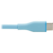 Tripp Lite by Eaton Safe-IT M102AB-006-S-LB Lightning/USB-C Data Transfer Cable - M102AB-006-S-LB