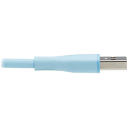 Tripp Lite by Eaton Safe-IT USB/USB-C Data Transfer Cable - U038AB-006-S-LB