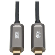 Tripp Lite by Eaton USB 3.2 Gen 2 Fiber Active Optical Cable, M/M, 10 m (33 ft.) - U420F-10M-D3
