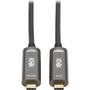 Tripp Lite by Eaton USB 3.2 Gen 2 Fiber Active Optical Cable, M/M, 10 m (33 ft.) - U420F-10M-D321