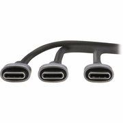 Tripp Lite by Eaton USB-C Charging Cable/Splitter (M/2xM) - 100W PD Charging, 6 ft. (1.8 m) - U420P-2X6-100W