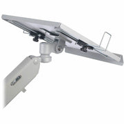 Tripp Lite by Eaton DDR1732NBMTAA Clamp Mount for Notebook, Monitor, Flat Panel Display, HDTV - Silver - TAA Compliant - DDR1732NBMTAA