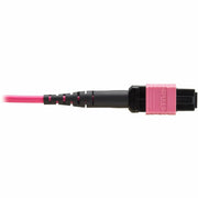 Tripp Lite by Eaton N845B-01M-12MTA Fiber Optic Network Cable - N845B-01M-12MTA