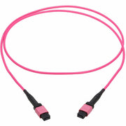 Tripp Lite by Eaton N845B-01M-12MTA Fiber Optic Network Cable - N845B-01M-12MTA