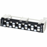 Tripp Lite by Eaton 12-Port Wall-Mount Patch Panel for UTP Keystone Jacks, Offset Ports, TAA - N062-012-KJ-WOF