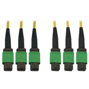 Tripp Lite Tripp Lite N392B-10M-3X8AP Fiber Optic Trunk Network Cable - N392B-10M-3X8AP - Network Cable
