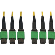 Tripp Lite Tripp Lite N392B-10M-3X8AP Fiber Optic Trunk Network Cable - N392B-10M-3X8AP - Network Cable