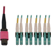 Tripp Lite Tripp Lite N845X-01M-8L-MG Fiber Optic Duplex Trunk Network Cable - N845X-01M-8L-MG - Network Cable